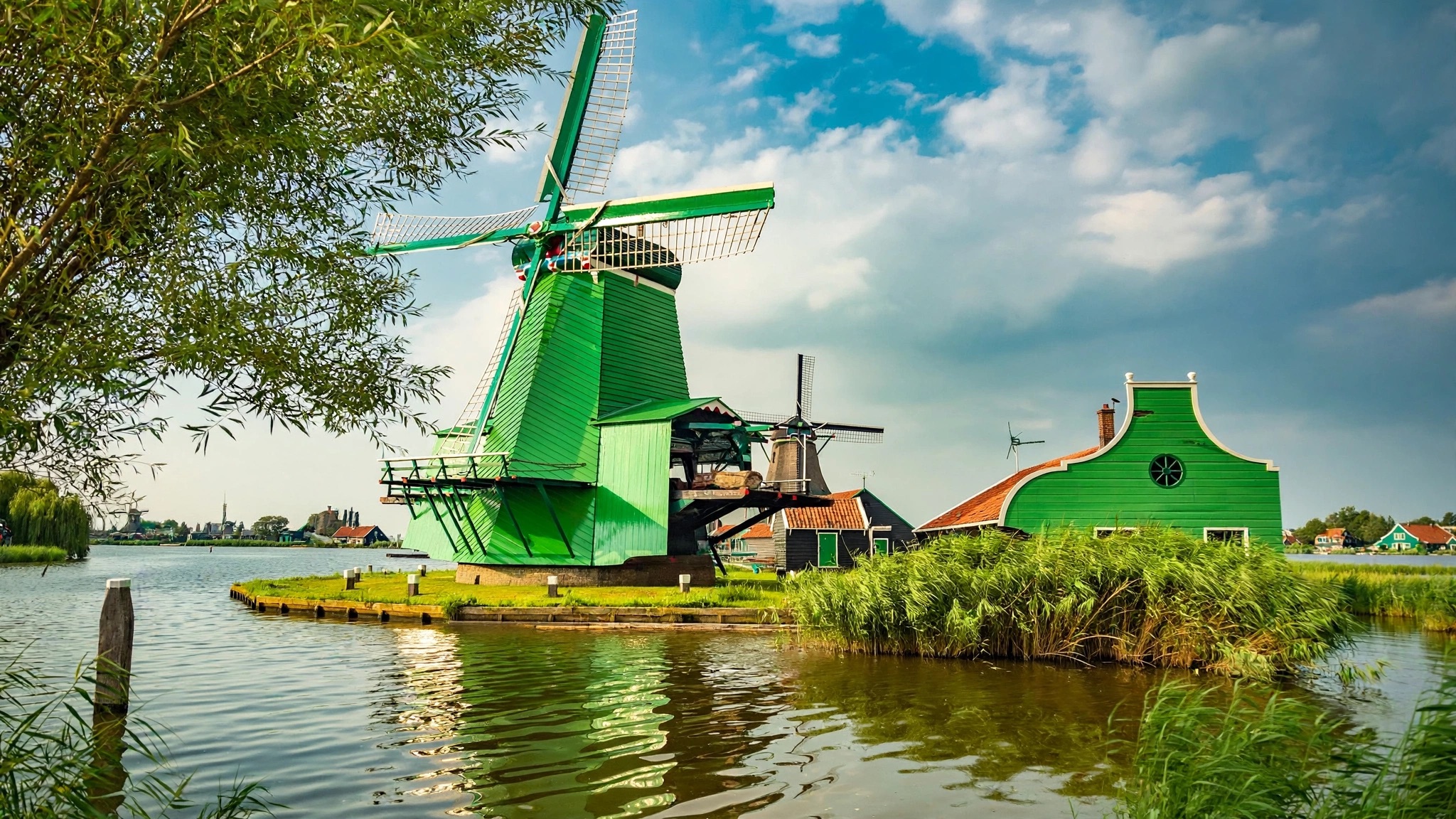 Dutch Countryside Cheese and Clogs & Windmills