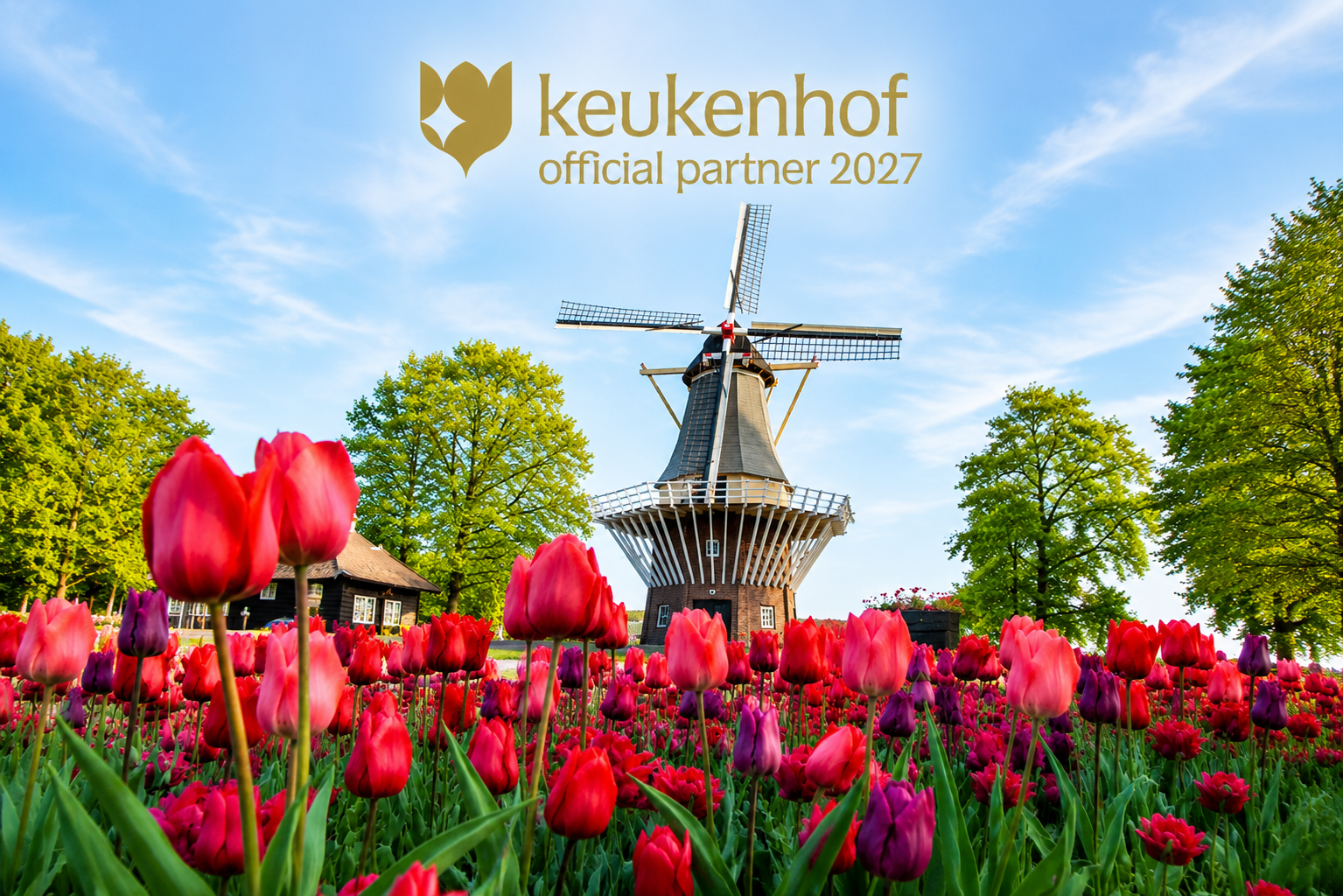 Keukenhof Gardens & Tulip Fields