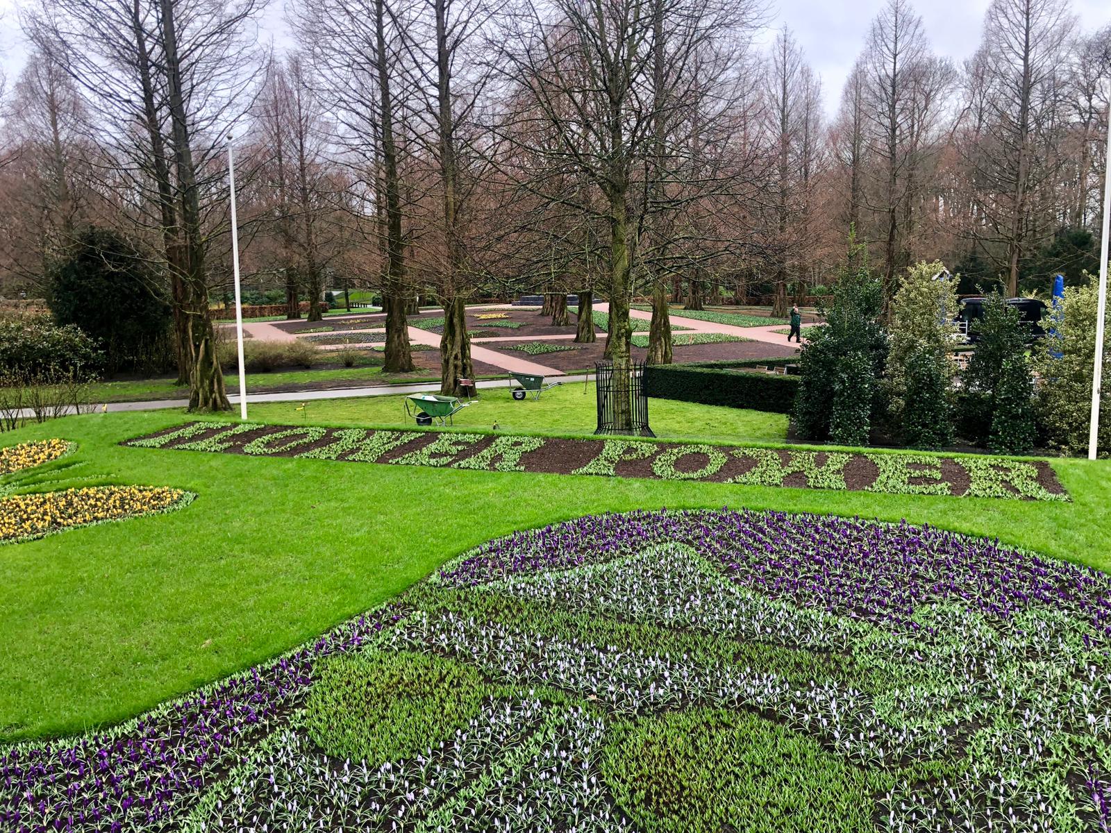 Keukenhof & Tulip Fields & Countryside